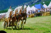 Film beleuchtet  die „Seele“ der Ritterspiele