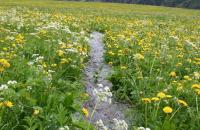 Zukunftsfähig durch Weiterbildung