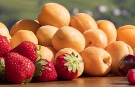 Ernte von Beeren und Steinobst hat begonnen