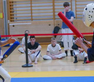 40 Jahre Yoseikan Budo