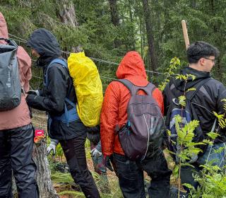 Alperia und Landesforstdienst an einem Strang
