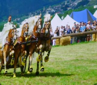 Film beleuchtet  die „Seele“ der Ritterspiele