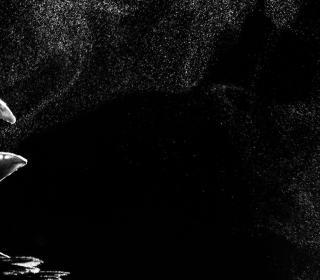 Glanzlichter für Philipp Egger 