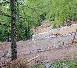 Polemik um Ausbau von Viehtriebweg