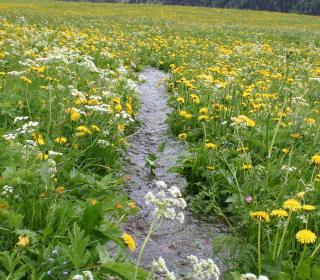 Zukunftsfähig durch Weiterbildung