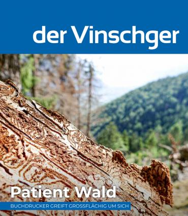 Patient Wald