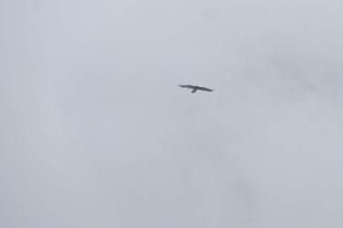 200 Jahre Stilfser-Joch-Straße, 5. und 6. Juli 2025; Fotos: Sepp