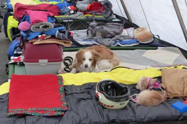 24-Stunden Großübung im Martelltal (21. und 22. Juni 2019); Fotos: Sepp 