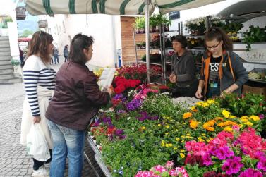 Blumen- und Gartenmarkt Glurns 2018; Fotos: Dany/Ossi