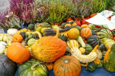 Bunter Herbstmarkt in Glurns, 12. Oktober 2019. Fotos: Sepp