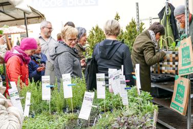 Georgimorkt in Mals (22. April 2023); Fotos: Sepp