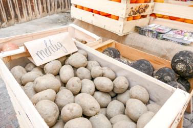 Georgimorkt in Mals (22. April 2023); Fotos: Sepp