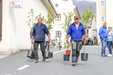 Georgimorkt in Mals (22. April 2023); Fotos: Sepp