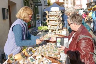 Gollimorkt in Mals (16.10.2025); Fotos: Sepp 
