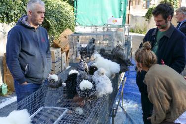 Gollimorkt in Mals (16.10.2025); Fotos: Sepp 