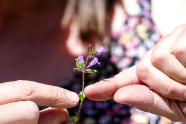Herbatio 2023 in Trafoi (Heilige Drei Brunnen); Fotos: Sepp