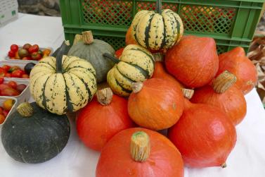 Herbstmarkt in Glurns (27.09.2025); Fotos: Sepp