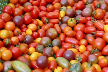 Herbstmarkt in Glurns (27.09.2025); Fotos: Sepp