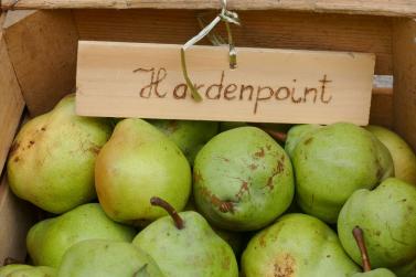 Herbstmarkt in Glurns (27.09.2025); Fotos: Sepp