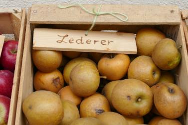 Herbstmarkt in Glurns (27.09.2025); Fotos: Sepp