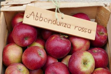 Herbstmarkt in Glurns (27.09.2025); Fotos: Sepp