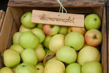 Herbstmarkt in Glurns (27.09.2025); Fotos: Sepp