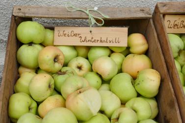 Herbstmarkt in Glurns (27.09.2025); Fotos: Sepp