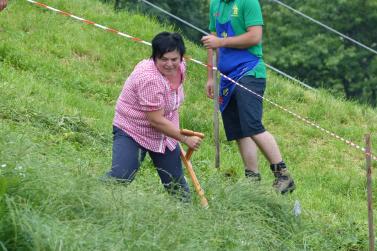 Landesentscheid im Handmähen am 28. Juli 2019 in Trumsberg in Kastelbell. Fotos: Sepp