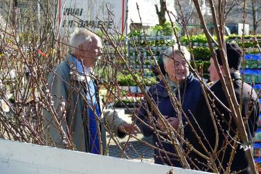 Landsprachmarkt 2019 in Goldrain. Fotos: Sepp