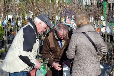 Landsprachmarkt 2019 in Goldrain. Fotos: Sepp