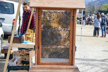 Landsprachmarkt in Goldrain, 16.03.24; Fotos: Michael