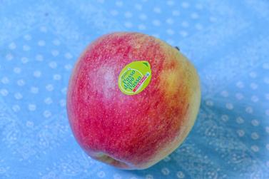 Muss er wirklich sein, dass bei lose erhältlichen Äpfeln jedem einzelnen ein Aufkleber verpasst wird? Foto: Sepp