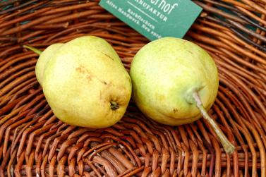 Palabira-Markt in Glurns (03.09.2022); Fotos: Sepp