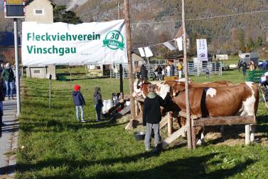 Sealamorkt in Glurns (3.11.25). Fotos: AM