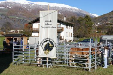 Sealamorkt in Glurns (3.11.25). Fotos: AM