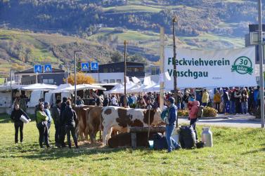 Sealamorkt in Glurns (3.11.25). Fotos: AM