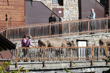 Streumarkt in Stilfs, 06.09.2025; Fotos: Sepp