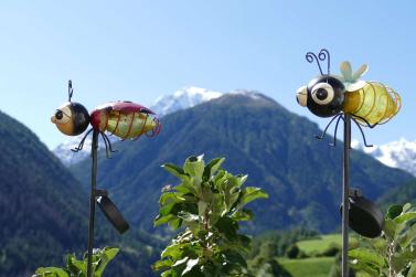 Streumarkt in Stilfs, 06.09.2025; Fotos: Sepp