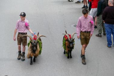 Umzug „200 Jahre Stilfserjochstraße“ in Prad; Fotos: Sepp 