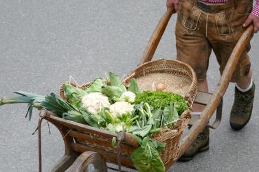Umzug „200 Jahre Stilfserjochstraße“ in Prad; Fotos: Sepp 