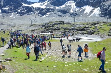 Yak-Wanderung mit Reinhold Messner in Sulden, Fotos: Michael 