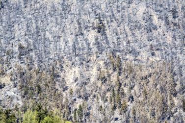 Zwei Tage nach dem Brandausbruch am Montoni; Fotos: Udo Thoma