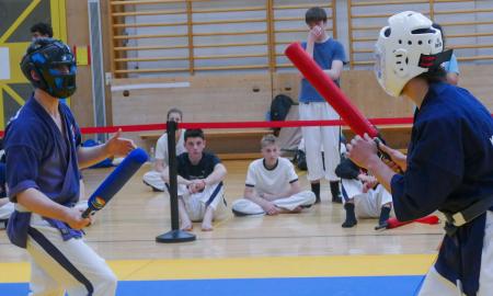 40 Jahre Yoseikan Budo