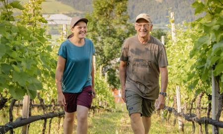 Crowdfunding-Kampagne für neue Weinpresse