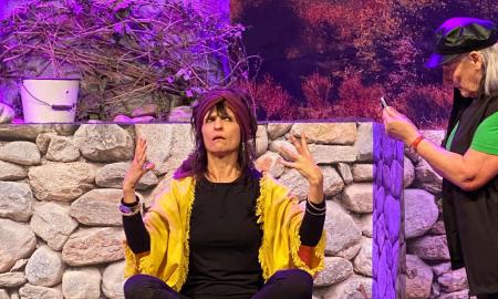 Das Schattenstein-Vermächtnis