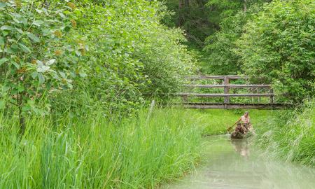 Foto: archeoParc Schnalstal/Ganesh Neumair