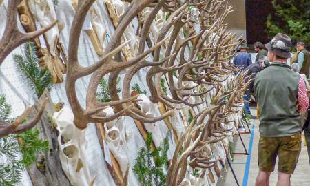 Hegeschau des Jagdbezirks Vinschgau