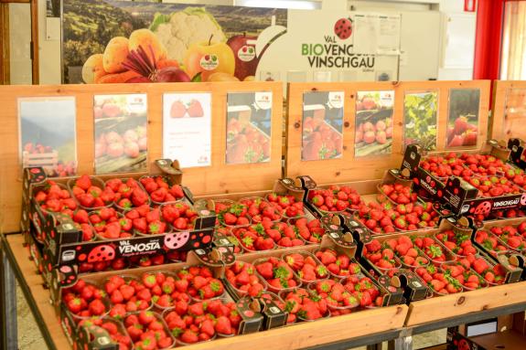 Erdbeerfest Martell, 29.06.2025; Fotos: Michael 