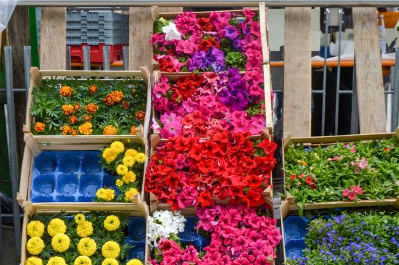 Garten & Genussmarkt Kastelbell 2018; Fotos: Inge