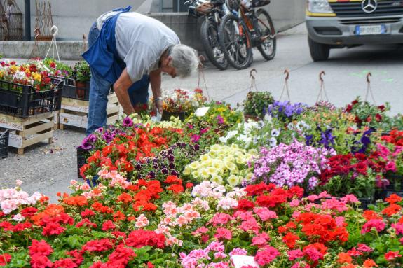 Garten & Genussmarkt Kastelbell 2018; Fotos: Inge